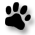 Chenil Chenil