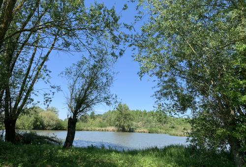 marais