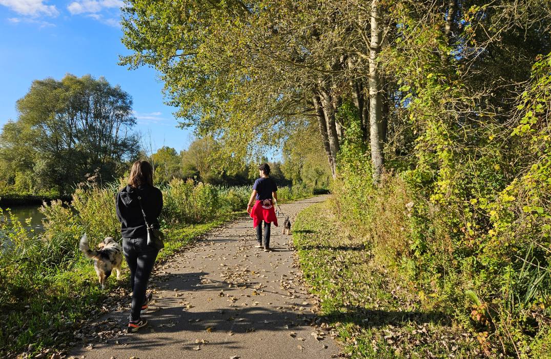 Véloroute Vallée de Somme -Randonnée Le Butor Etoilé - La Chaussé Tirancourt - ©Somme Tourisme AD