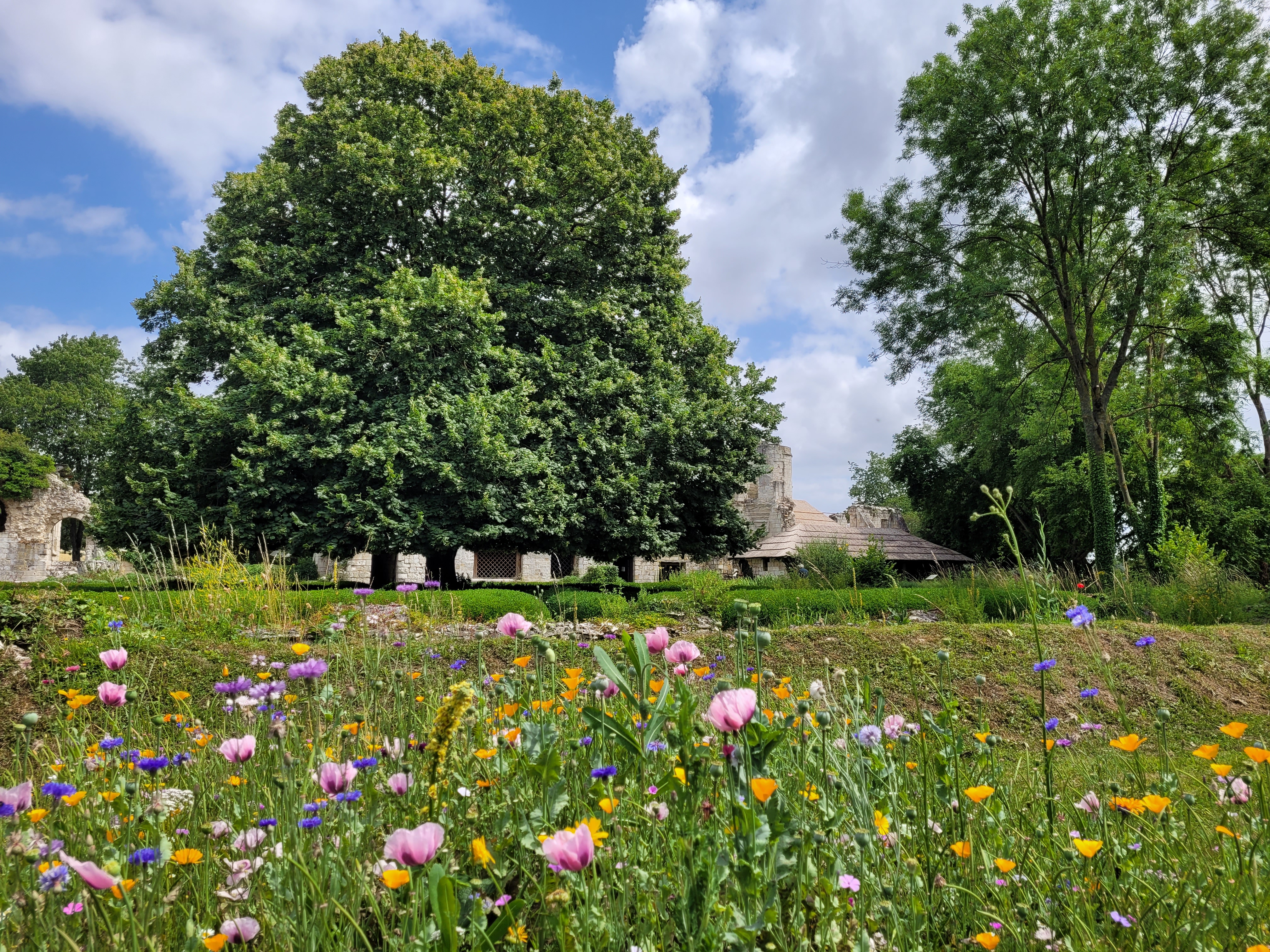 Prieure_Moreaucourt_2023 - @Nievre&Somme_Tourisme