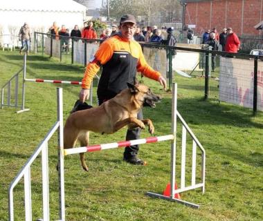 Concours Agility à Bouttencourt Le 20 oct 2024