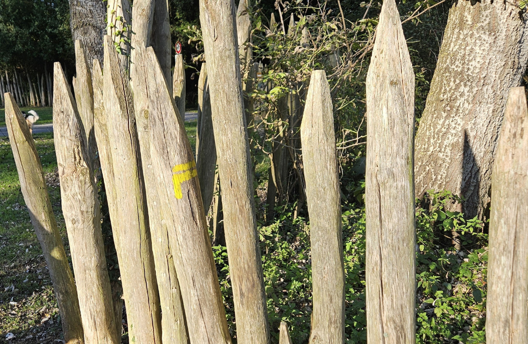 Randonnée Le Butor Etoilé - La Chaussé Tirancourt - ©Somme Tourisme AD