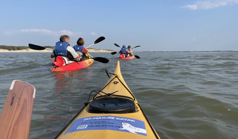 3D-Nature kayak sortie phoque baies de somme baie d'authie