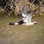 409201647_840107101455287_6035610489518127733_n