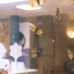 6D8A2426-AE39-4334-BA57-C2EF4345BC07-34370-000016A174238B79