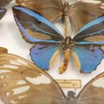 784BE92D-153F-4EC4-9937-5EBE8BE070A8-34370-000016A189FE0CED