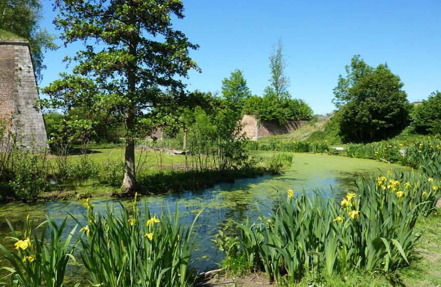 Wrapped in nature, opt for a walk around Lille's ever-popular citadel – the locals’ best-loved spot