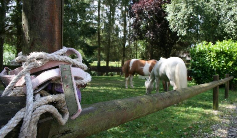 AtelierValdeSelle-poneys-Conty-Somme-Picardie©CDT Somme-JL