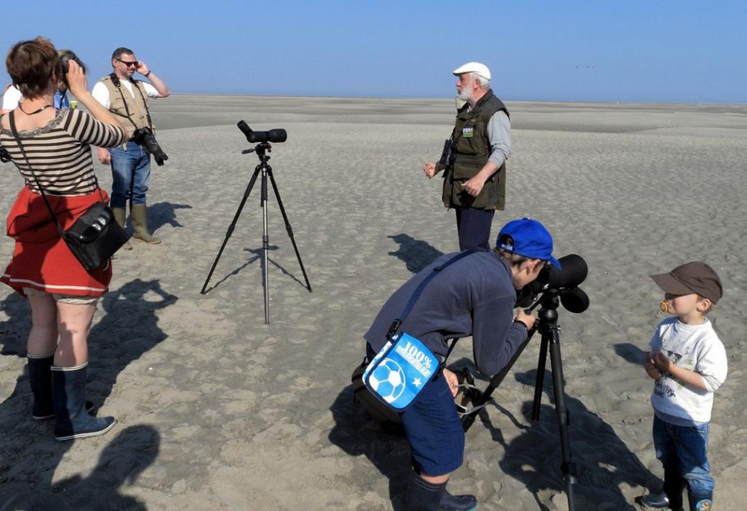 BaiedeSomme_Baladeux_Sortienature©baladeux