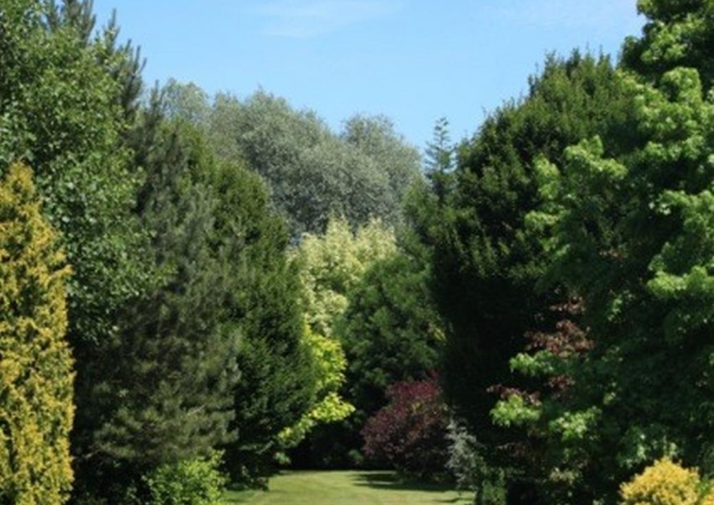 Berteaucourt-les-Thennes-jardinslucine-exterieur-nature-somme-picardie--hautsdefrance--3-