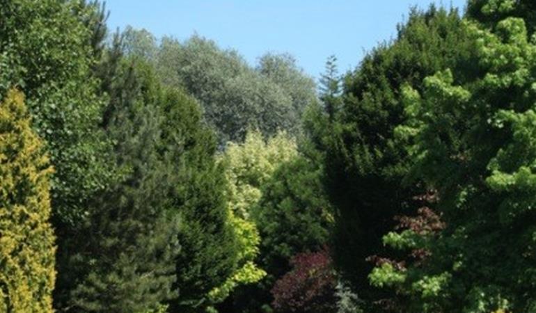 Berteaucourt-les-Thennes-jardinslucine-exterieur-nature-somme-picardie--hautsdefrance--3-