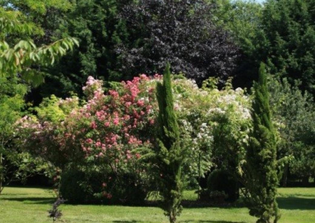 Berteaucourt-les-Thennes-jardinslucine-exterieur-nature-somme-picardie--hautsdefrance