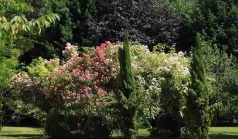 Berteaucourt-les-Thennes-jardinslucine-exterieur-nature-somme-picardie--hautsdefrance