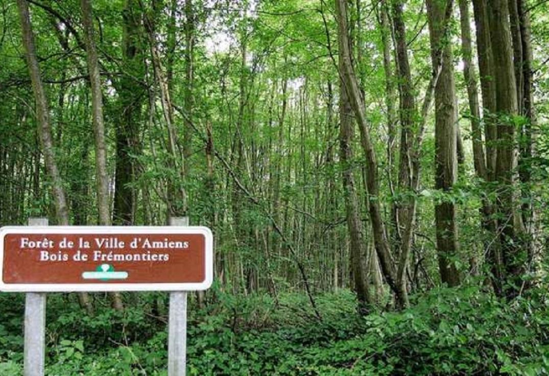 Bois-de-Fremoniers-Amiens-HDF