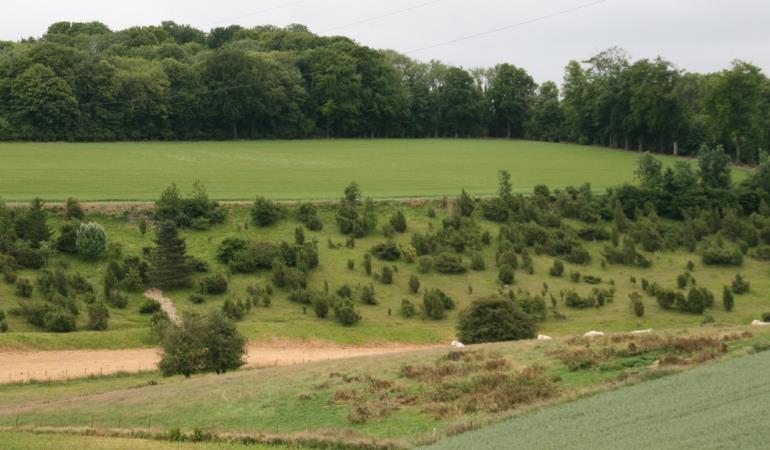 Bouchon-Larris-SommTourisme-JG-TS--12-