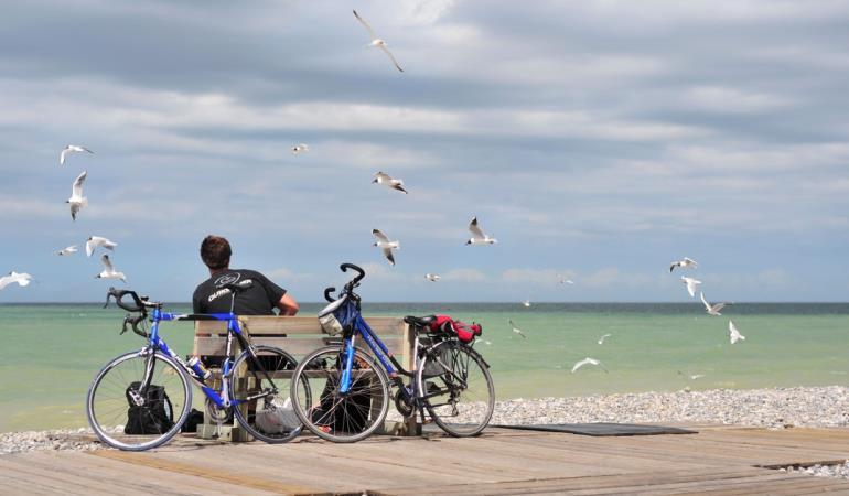 vélo-cycliste-mouette-chemin-planche_Cayeux-sur-Mer<Somme<Picardie