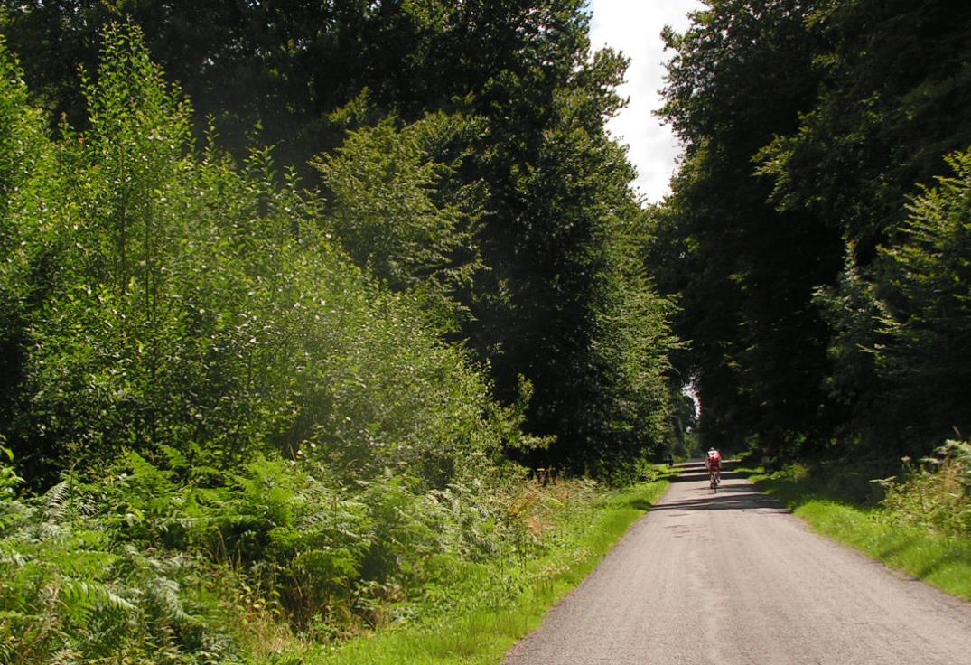 Crecy en Ponthieu_CircuitduGeai