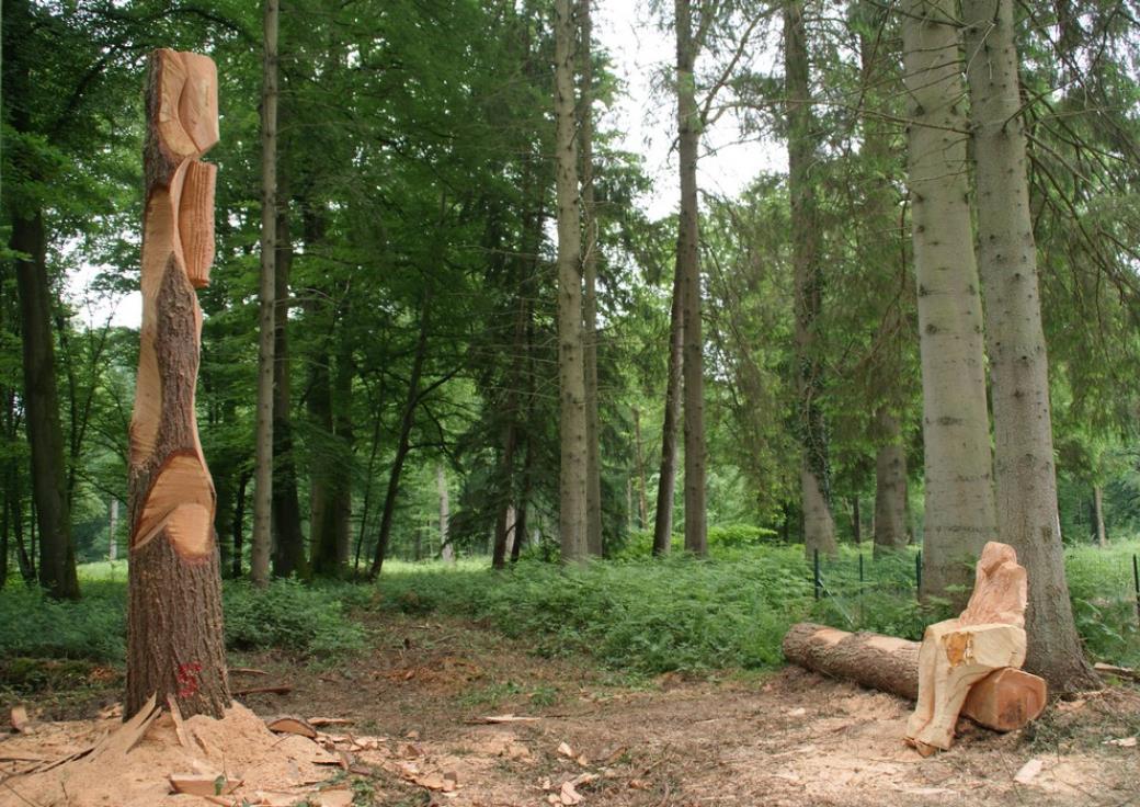 Sculptures en forêt de Crécy