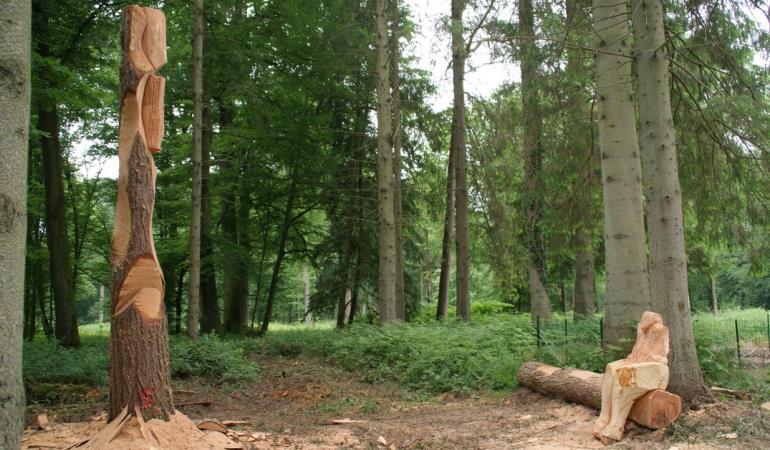 Sculptures en forêt de Crécy