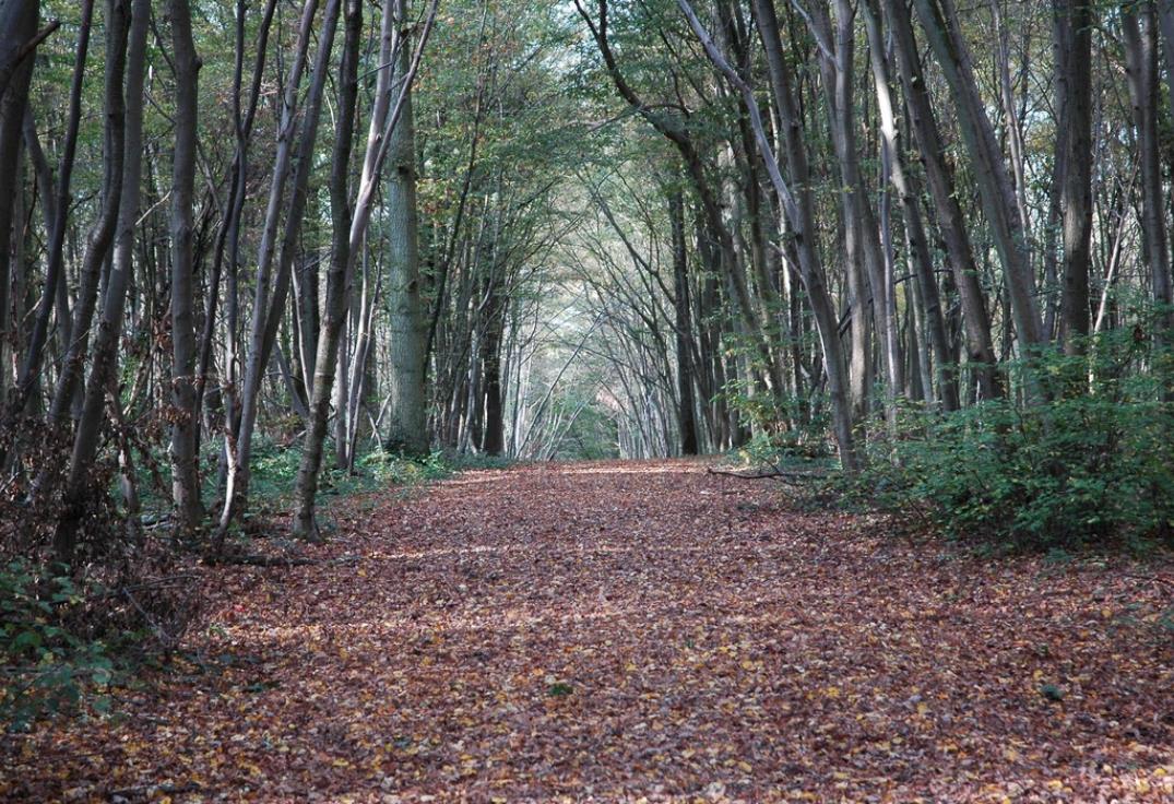 Creuse_Le parcours du Chevreuil