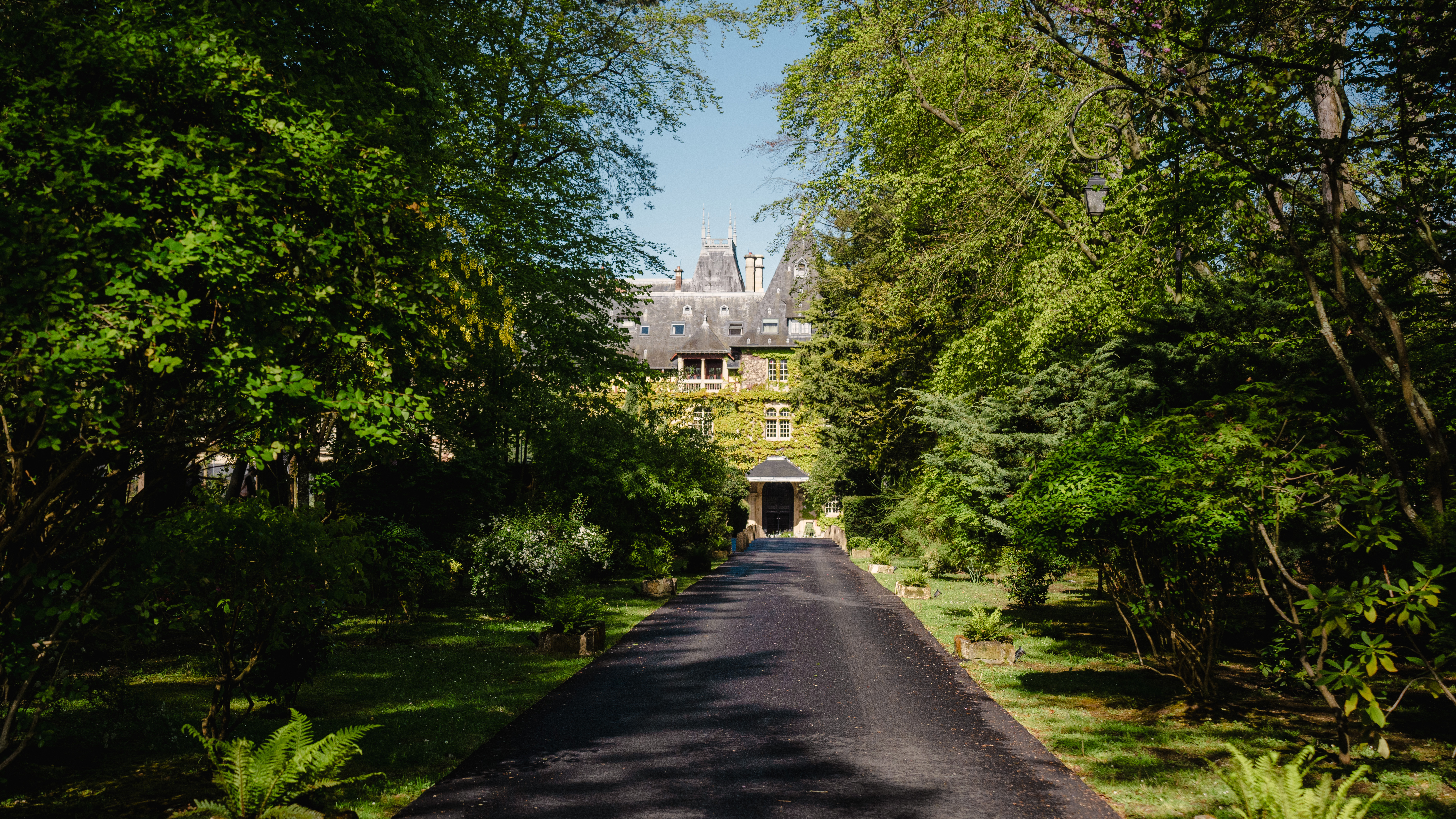 Château Jeanne & the Forest