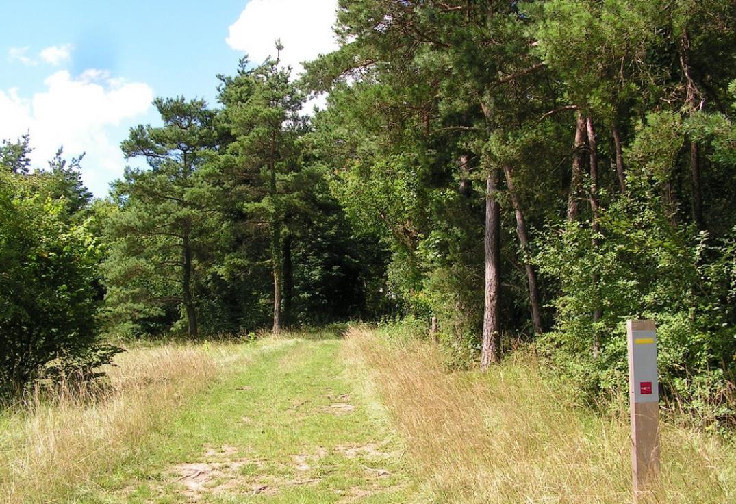 Fignières_larris_Balisage©SommeTourisme-DMarechal