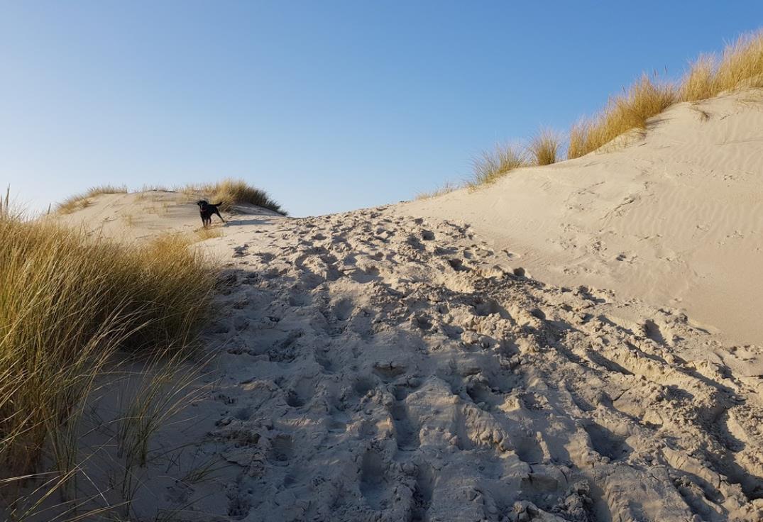 Fort-Mahon-PLage_sentier-pecheurs-dune©SommeTourisme-DM