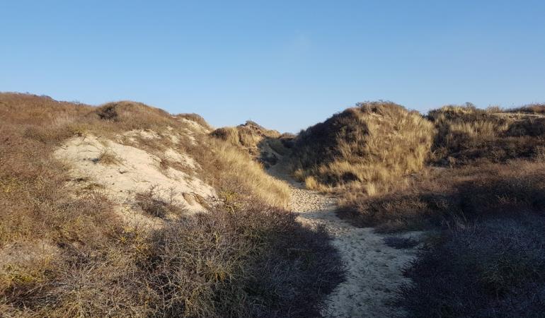 Fort-Mahon-PLage_sentier-pecheurs-dunes©SommeTourisme-DM
