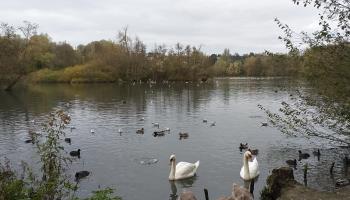 ABBEVILLE Au Perron de la Baie