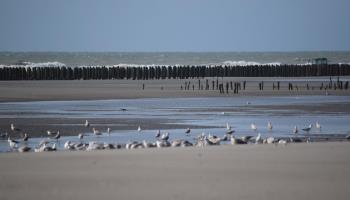 GRAND-LAVIERS Le pigeonnier