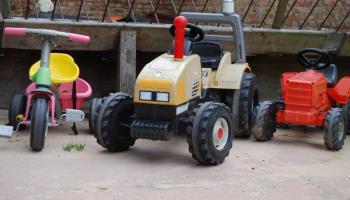 GRAND-LAVIERS Le bois jaune