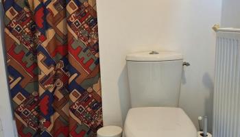 GRAND-LAVIERS Le bois jaune