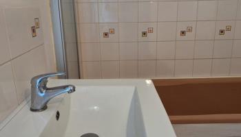 GRAND-LAVIERS Le bois jaune