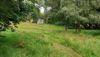 GRAND-LAVIERS Le bois jaune