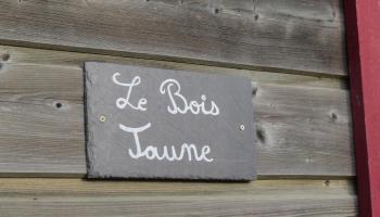 GRAND-LAVIERS Le bois jaune
