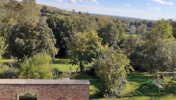 GRAND-LAVIERS Le bois jaune