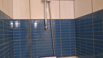 GRAND-LAVIERS Le bois jaune