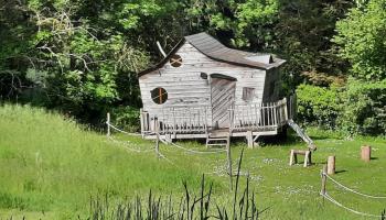GRAND-LAVIERS Le bois jaune