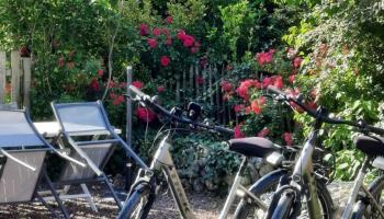 GRAND-LAVIERS Le bois jaune