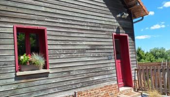 GRAND-LAVIERS Le bois jaune