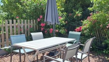 GRAND-LAVIERS Le bois jaune