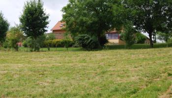 GRAND-LAVIERS Le bois jaune