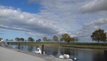 GRAND-LAVIERS Le bois jaune