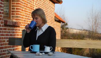 GRAND-LAVIERS Le bois jaune