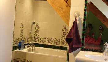 MAREUIL-CAUBERT L'hortensia bleu