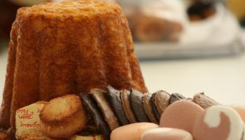 MAREUIL-CAUBERT L'hortensia bleu