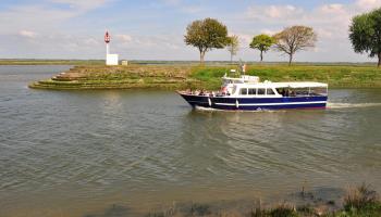 MAREUIL-CAUBERT L'hortensia bleu