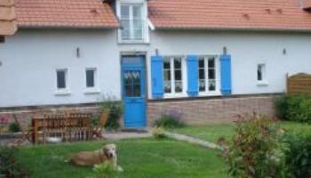 MAREUIL-CAUBERT L'hortensia bleu