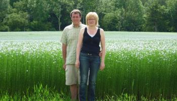 MAREUIL-CAUBERT La lavande