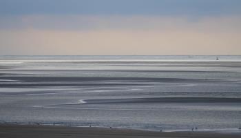 MAREUIL-CAUBERT La lavande